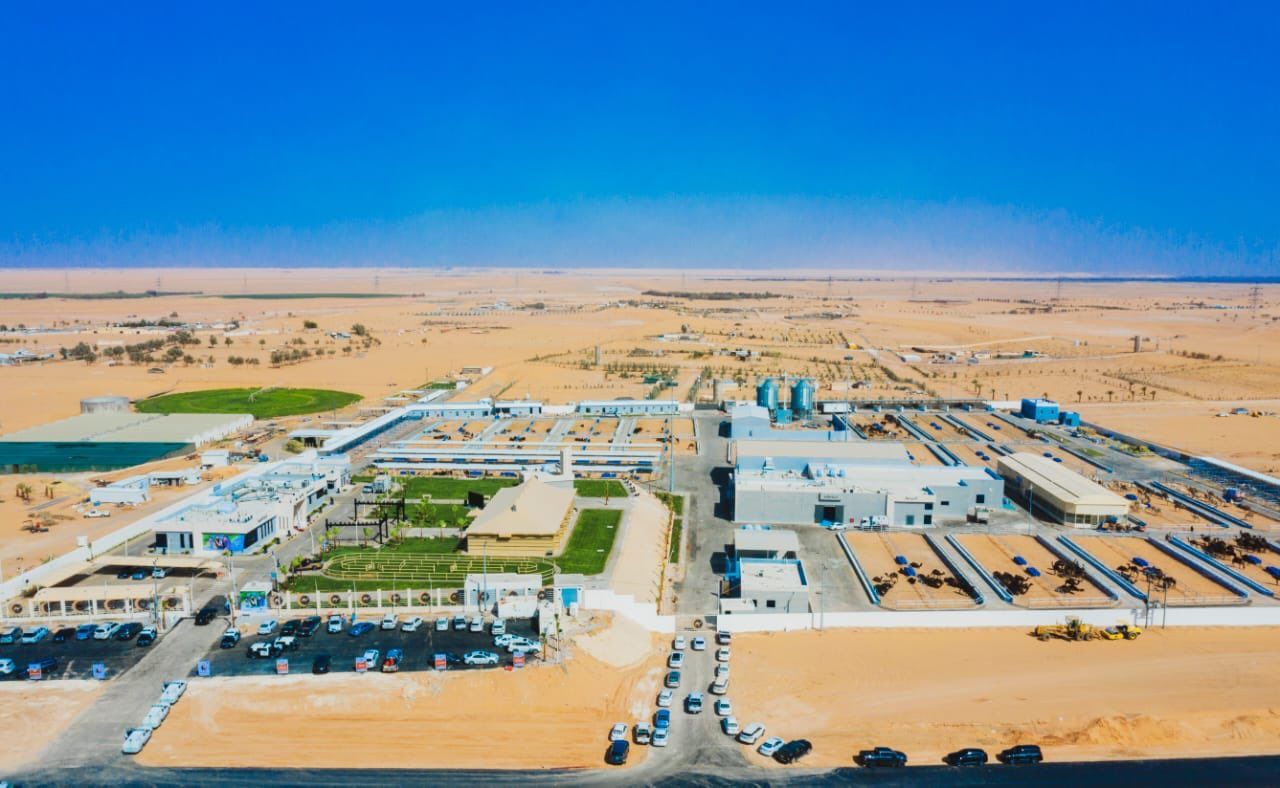 Grain storage facility in Buraidah, Arabia